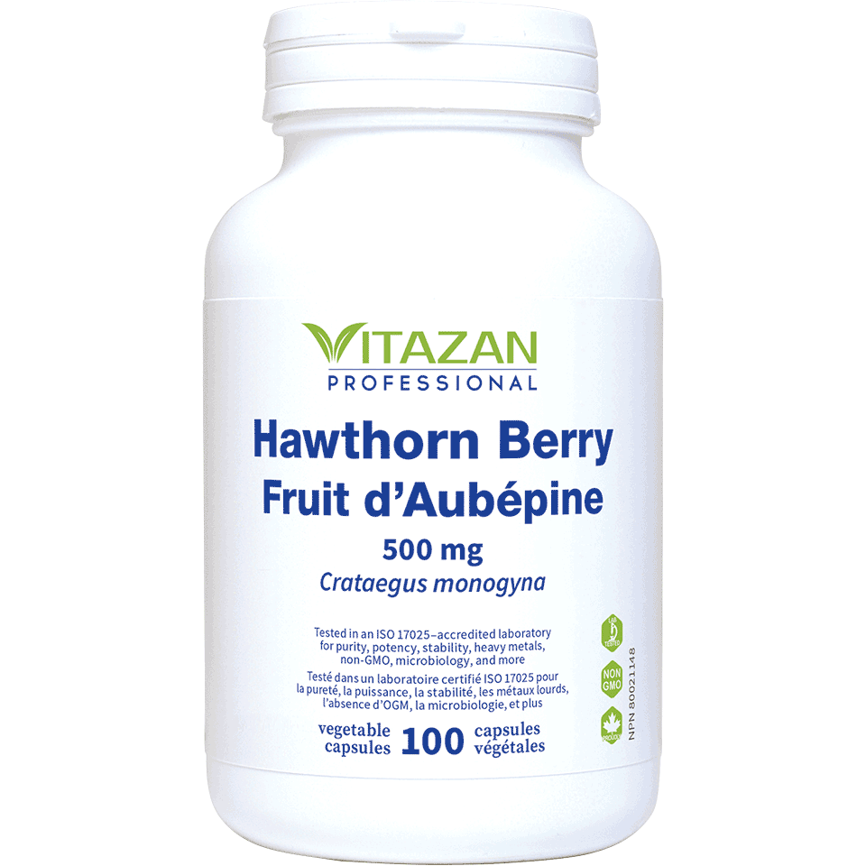 Hawthorn Berry Image