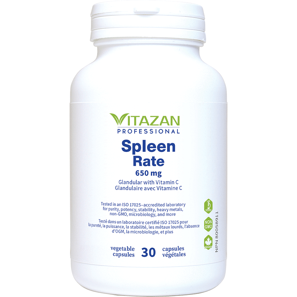 Spleen