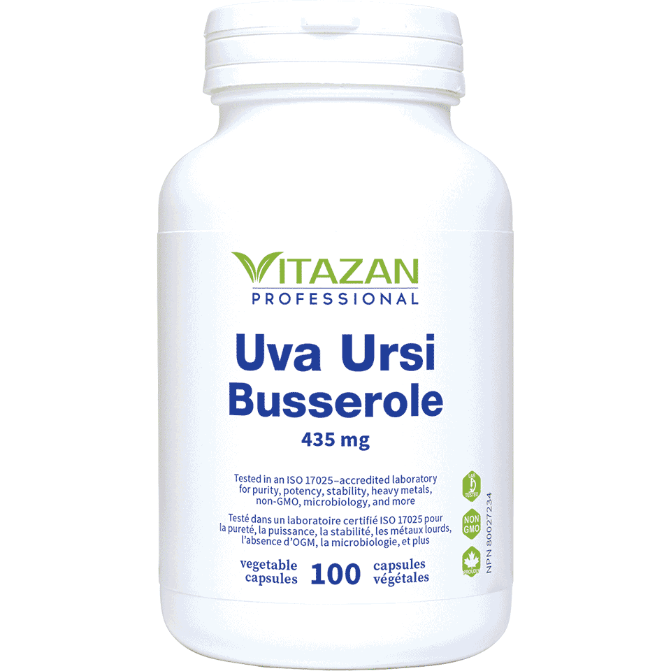 Uva Ursi Image