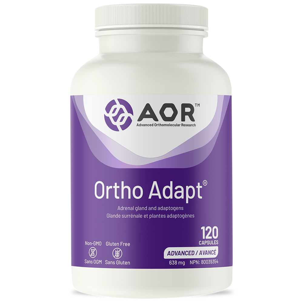 Ortho Adapt Image