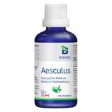Aesculus image 1
