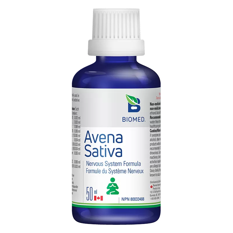 Avena Sativa Image