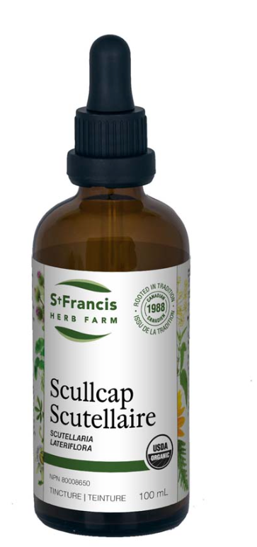Scutellaire Image