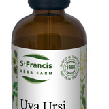 Uva Ursi image 1