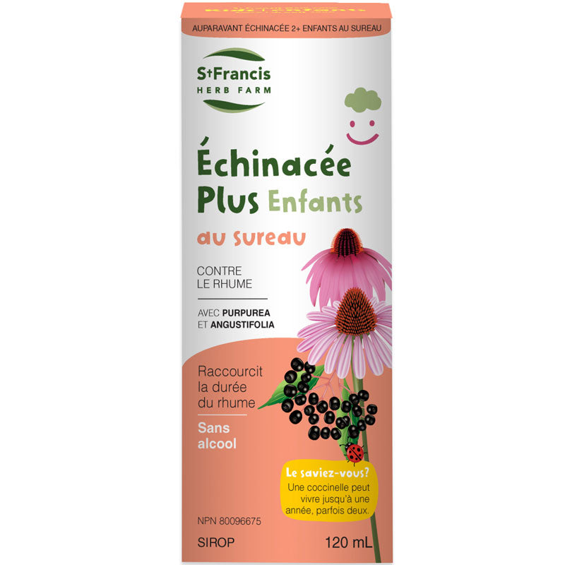 Échinacée plus Enfants au Sureau Image