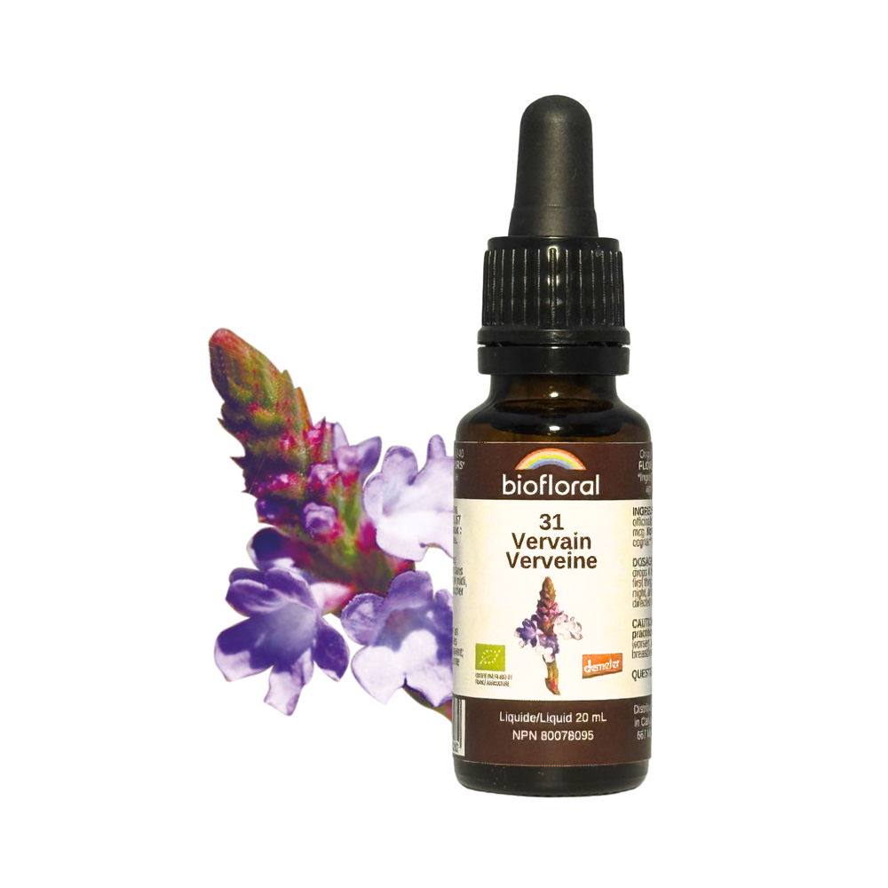 Verveine