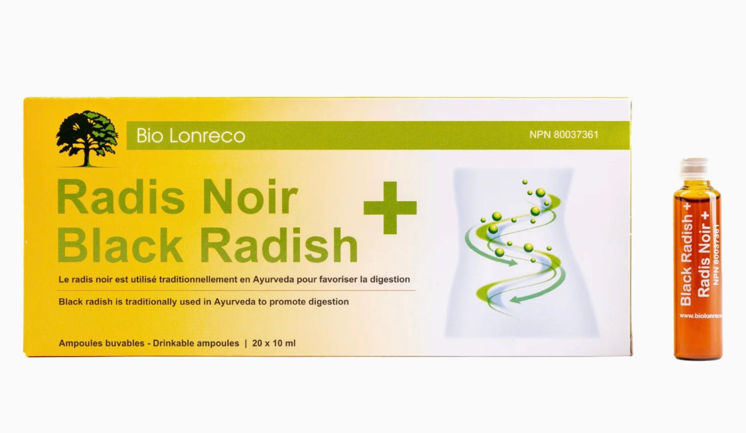 Radis Noir +