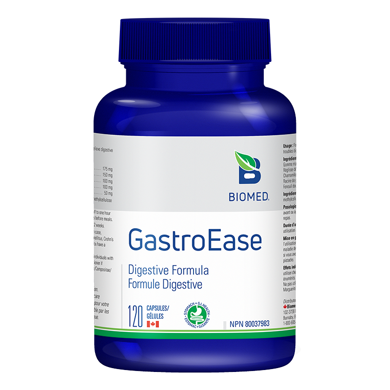 GastroEase Image