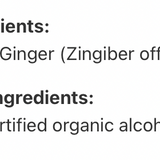 Gingembre image 3