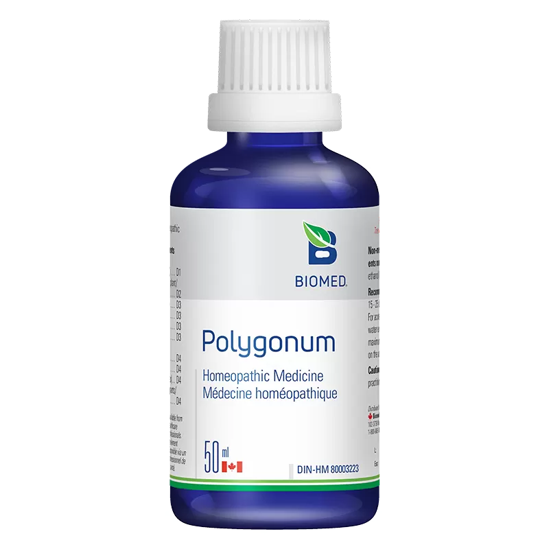 Polygonum Image