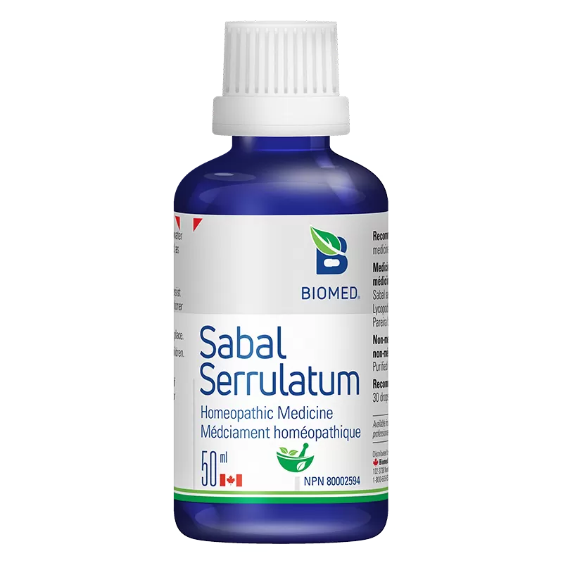 Sabal Serrulatum Image