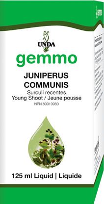 Juniperus Communis Image