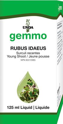 Rubus Idaeus Image
