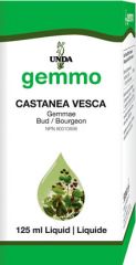 Castanea vesca  Image
