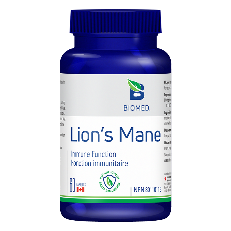 Lion’s Mane Image