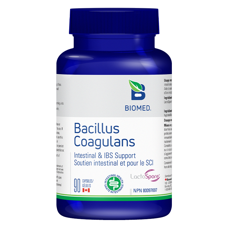 Bacillus Coagulans Image