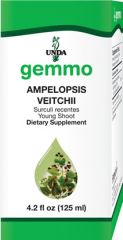 Ampelopsis veitchii  Image