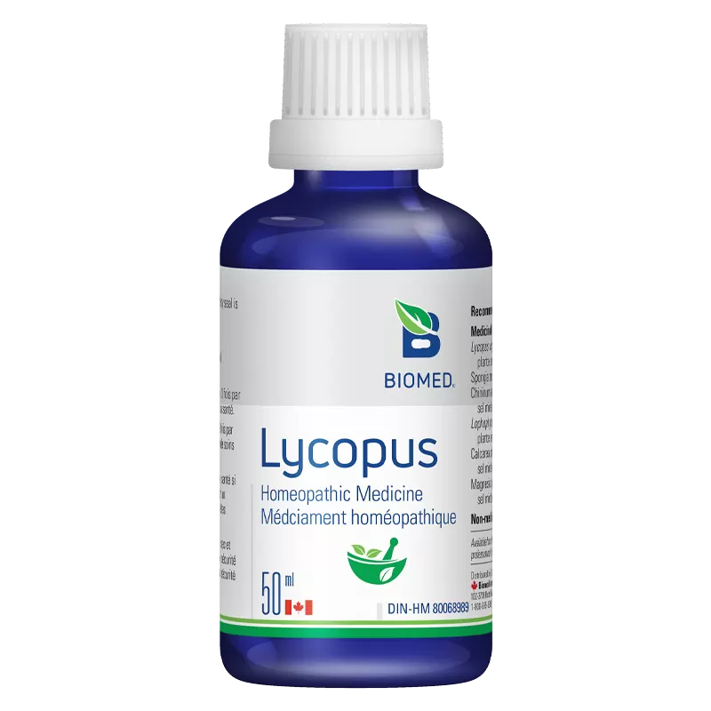 Lycopus Image