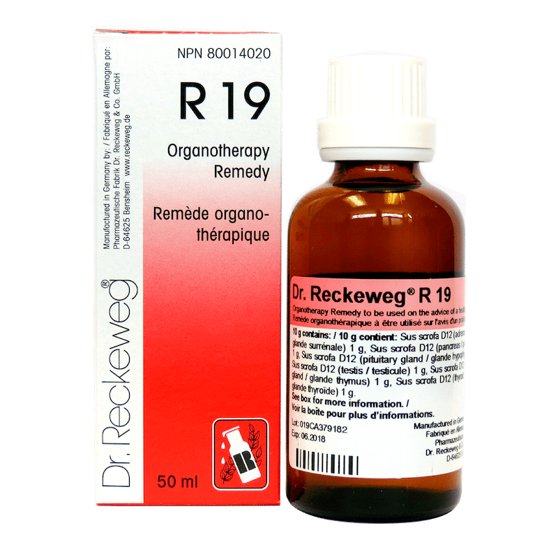 R19 Image